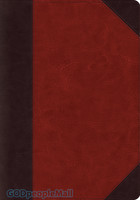 ESV: Systematic Theology Study Bible  TruTone, Brown/Cordovan, Portfolio Design (Leather-Look)