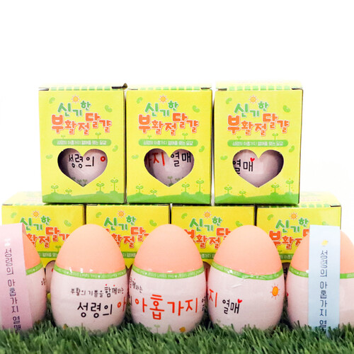 NEW 부활절계란화분 콩키우기 성령의9가지열매 6148