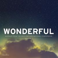 Vineyard National Conference - Wonderful LIVE (CD)