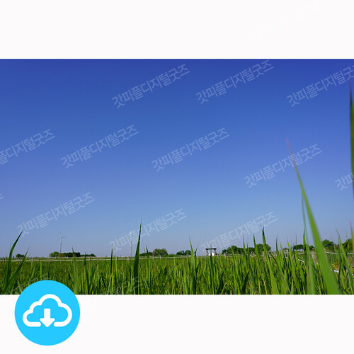 맑은 하늘 포토이미지 4 by 니카 / 이메일발송(파일)