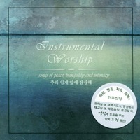 Instrumental Worship -   տ  (CD)