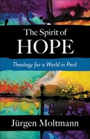 Spirit of Hope: Theology for a World in Peril (ƮĿ)