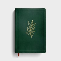 [해외배송] Evergreen LeatherLike NLT 영어성경
