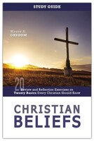 Christian Beliefs Study Guide: Review and Reflection Exercises on Twenty Basics Every Christian Should Know (Paperback)
