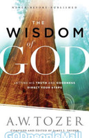 Wisdom of God: Letting His Truth and Goodness Direct Your Steps (PB)