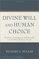Divine Will and Human Choice: Freedom, Contingency, and Necessity in Early Modern Reformed Thought (Paperback)