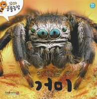  -  Ź ( )
