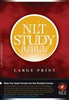 NLT: Study Bible Large Print (HB)