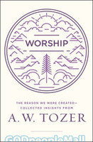 Worship: The Reason We Were Created-Collected Insights from A. W. Tozer (PB)