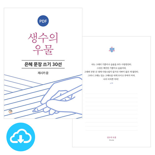 은혜 문장 쓰기 30선 생수의 우물 PDF by 규장굿즈 / 다운로드(파일)