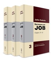 Sermons on Job, 3 Vols. (Hardcover)