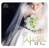 사랑은 - LOVE＆WEDDING (CD)