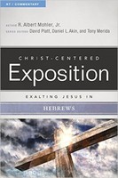 Exalting Jesus in Hebrews (Paperback)