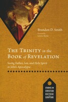 Trinity in the Book of Revelation: Seeing Father, Son, and Holy Spirit in Johns Apocalypse (Paperback)