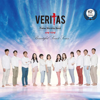 VERITAS - Beautiful Secret Series (CD)