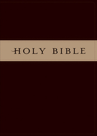 NLT Premium Gift Bible (Tuton Dark Brown/Tan)