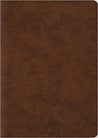 ESV: Archaeology Study Bible (Imitation Leather/TruTone, Brown)