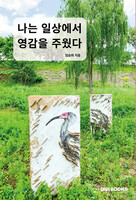 나는 일상에서 영감을 주웠다