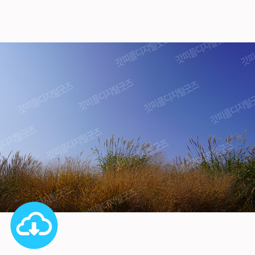 맑은 하늘 포토이미지 6 by 니카 / 이메일발송(파일)