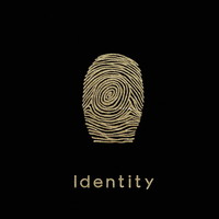 Ӽ  1 - Identity (CD)