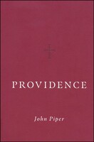 Providence (Hardcover)